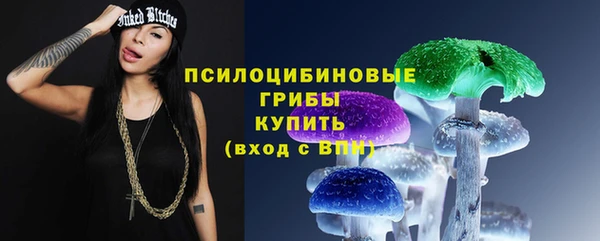 гидропоника Богданович