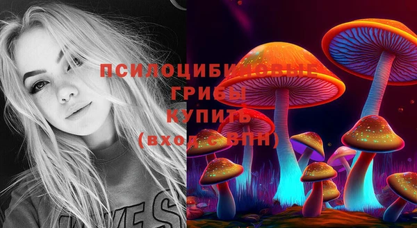 скорость Осташков