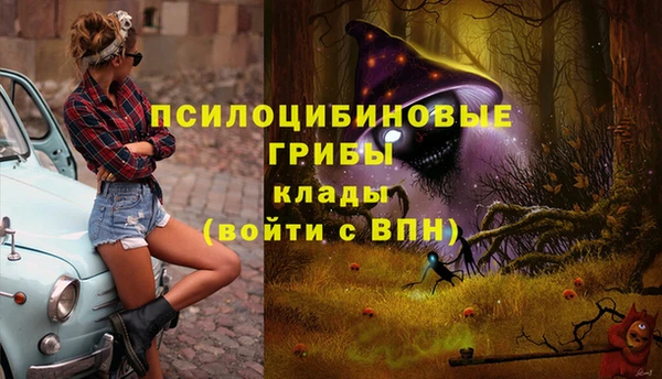 спайс Богородск