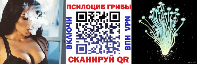 где купить наркоту  Среднеуральск  Псилоцибиновые грибы ЛСД 